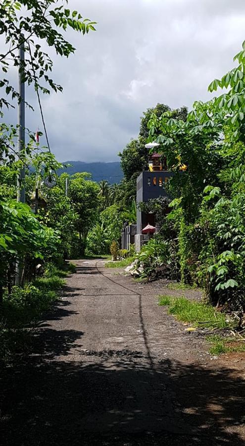 Mias Jungle House Hotell Lovina Exteriör bild