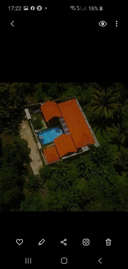 Mias Jungle House Hotell Lovina Exteriör bild