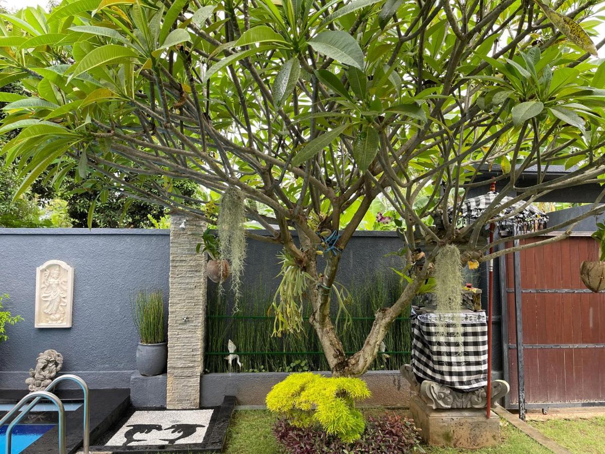 Mias Jungle House Hotell Lovina Exteriör bild