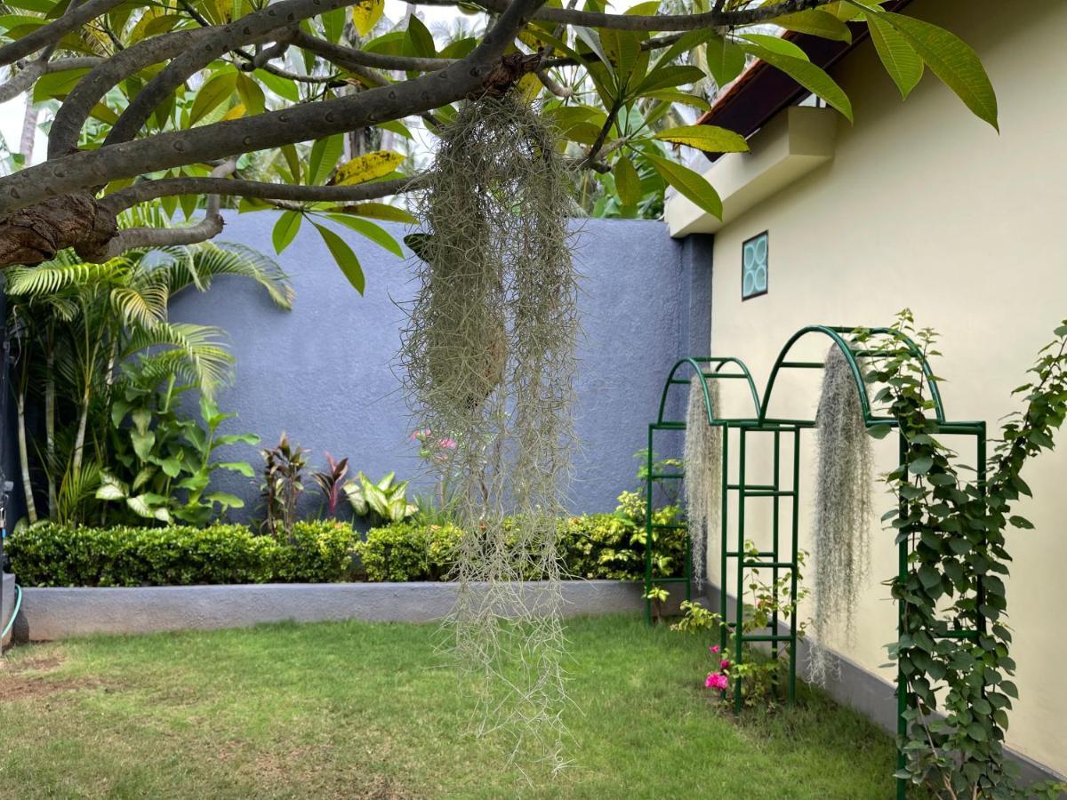 Mias Jungle House Hotell Lovina Exteriör bild