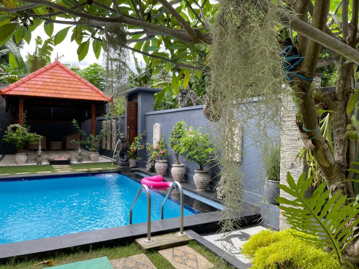 Mias Jungle House Hotell Lovina Exteriör bild
